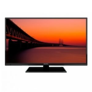 Champion Electronics Led-Tv 40 Dvb-T2 Hd