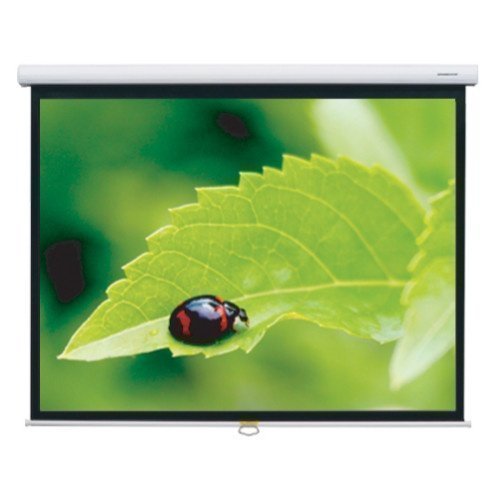 Grandview Fantasy 100'' Screen