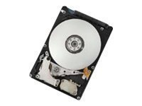 HDD-Intern-2.5 Hitachi Travelstar Z7K500 250GB