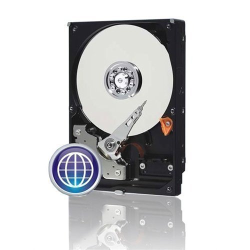 HDD-Intern-3.5 500GB Western Digital Caviar blue. Western Digital5000AAKX SATA-600 16MB.7200RPM