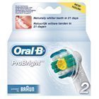 ORAL-B PROBRIGHT VAIHTOHAMMASHARJA 2KPL