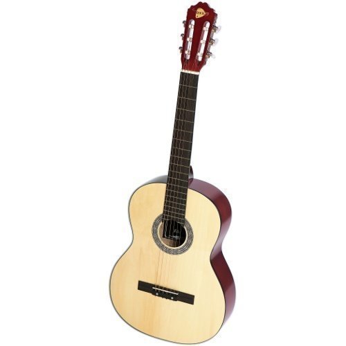 RockOn 2009 Acoustic guitar steel-stringed