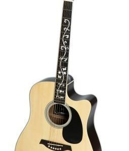 RockOn 2010 Acoustic guitar Western guitar