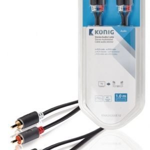 Stereo-audio-kaapeli 2 x RCA-urosliitin - 2 x urosliitin 1 00 m harmaa