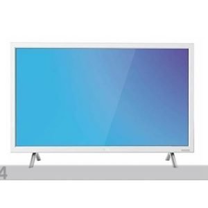 Tcl 24" Led Televisio Tcl H24e4414r