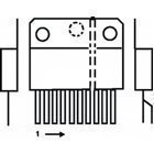 VERTICAL PROCESSOR