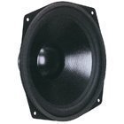 VISATON WS25E WOOFER