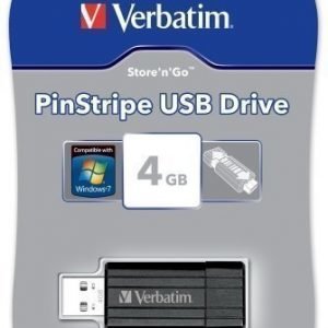 Verbatim Store-N-Go PinStripe 4GB 2.0