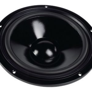 W250S woofer 25 cm 8 Ohm